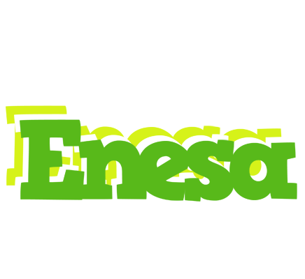 Enesa picnic logo