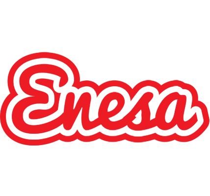 Enesa sunshine logo