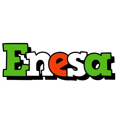 Enesa venezia logo