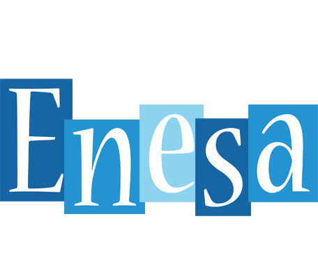 Enesa winter logo