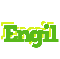 Engil picnic logo