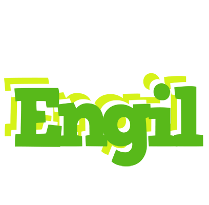 Engil picnic logo