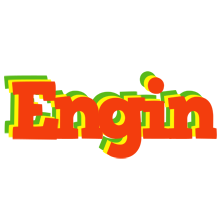 Engin bbq logo