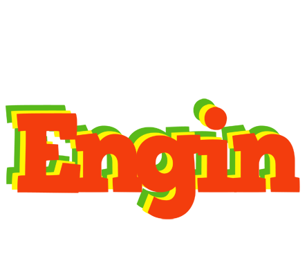 Engin bbq logo