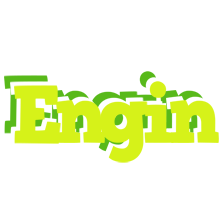 Engin citrus logo