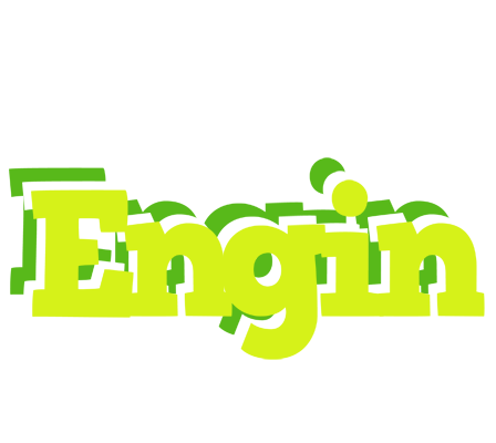 Engin citrus logo