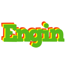 Engin crocodile logo