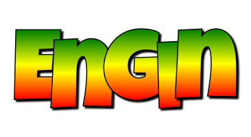 Engin mango logo