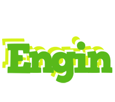 Engin picnic logo