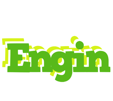 Engin picnic logo