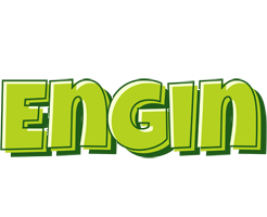 Engin summer logo