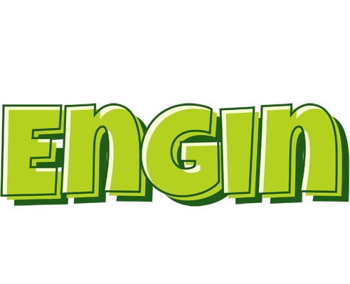 Engin summer logo