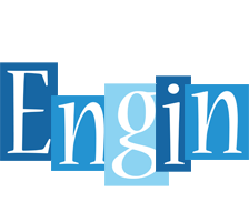 Engin winter logo