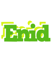 Enid picnic logo