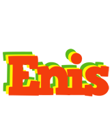 Enis bbq logo