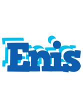 Enis business logo