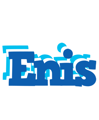Enis business logo