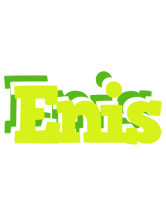 Enis citrus logo