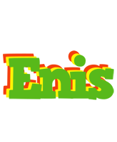 Enis crocodile logo