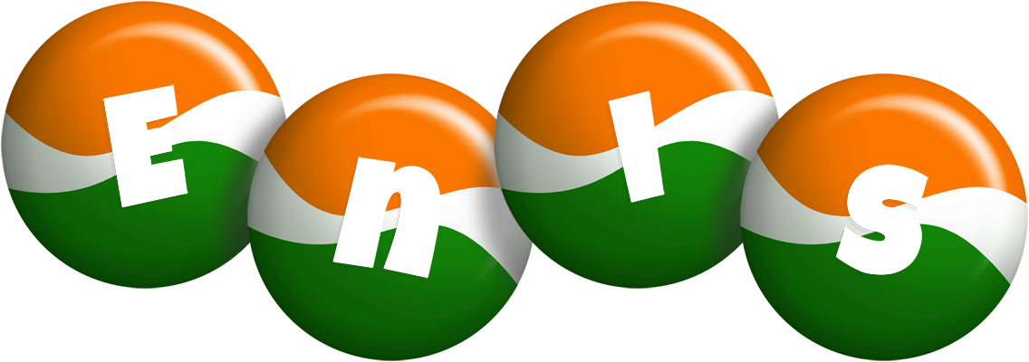 Enis india logo