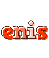 Enis paint logo