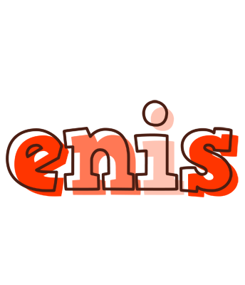 Enis paint logo