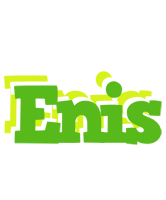 Enis picnic logo