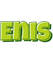 Enis summer logo