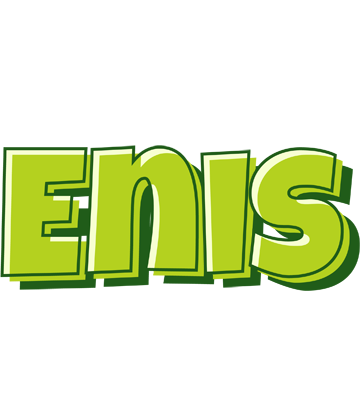 Enis summer logo
