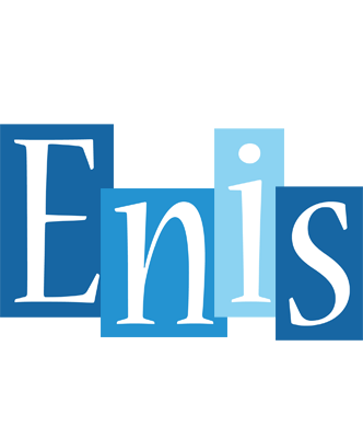 Enis winter logo