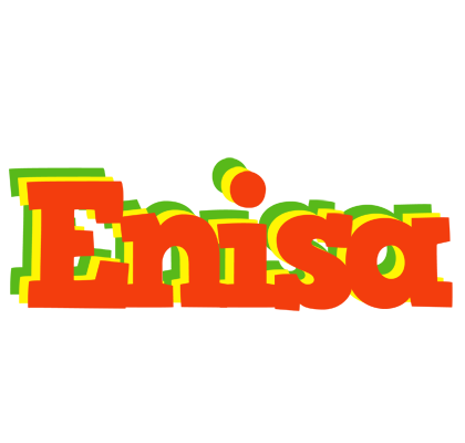 Enisa bbq logo