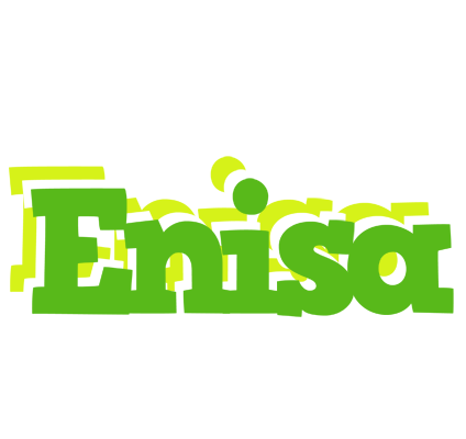 Enisa picnic logo