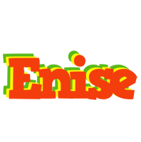 Enise bbq logo