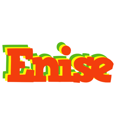 Enise bbq logo