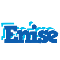 Enise business logo