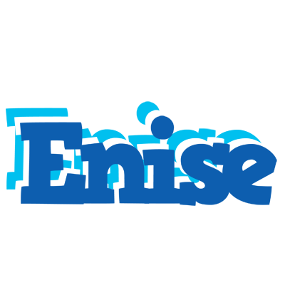 Enise business logo