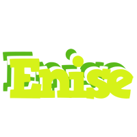 Enise citrus logo