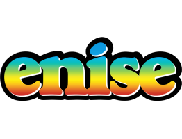 Enise color logo