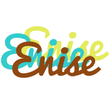 Enise cupcake logo