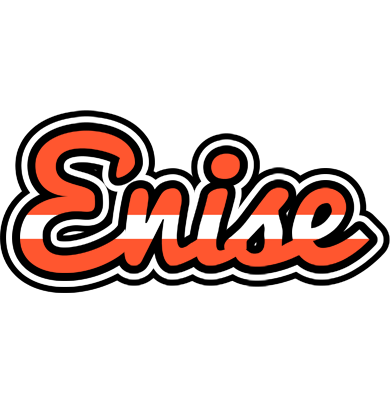 Enise denmark logo