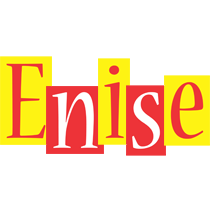 Enise errors logo