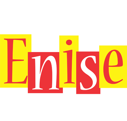Enise errors logo