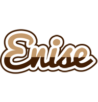 Enise exclusive logo