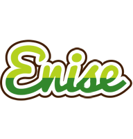 Enise golfing logo