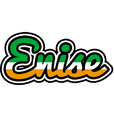 Enise ireland logo