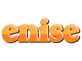 Enise orange logo