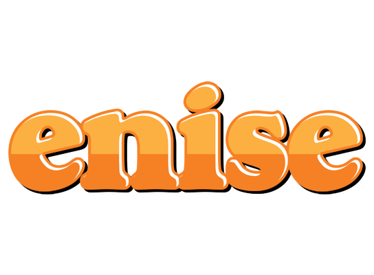 Enise orange logo