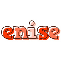 Enise paint logo