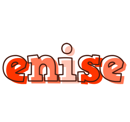 Enise paint logo