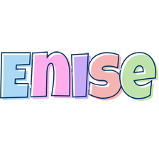 Enise pastel logo